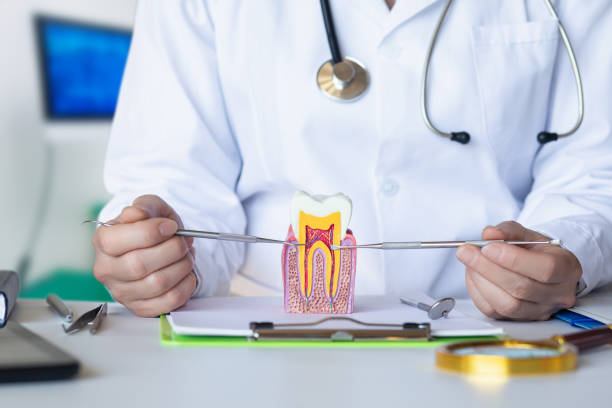 Best Broken or Chipped Tooth Repair in Panther Valley, NJ